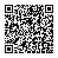 qrcode:https://info241.com/pourquoi-un-conseil-de-paix-plutot-qu-une-reforme-des-nations,11471