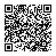 qrcode:https://info241.com/makokou-3-riverains-miracules-et-une-ville-coupee-du-reste-du,8388