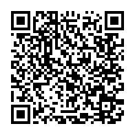 qrcode:https://info241.com/legislatives-2025-immongault-dresse-un-premier-bilan-et-annonce,10958