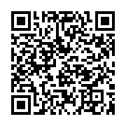 qrcode:https://info241.com/elections-2025-l-acer-pointe-un-chaos-electoral-et-veut-la,10966