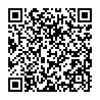 qrcode:https://info241.com/centrafrique-deux-gendarmes-tues-par-des-rebelles-dans-le-nord,1120