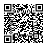 qrcode:https://info241.com/niger-le-retrait-de-l-armee-francaise-du-pays-debute-cette,1886