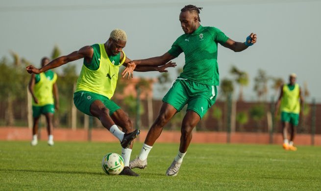 Mondial 2026&nbsp;: Les Panthères du Gabon déjà en Côte d’Ivoire pour défier le champion d’Afrique