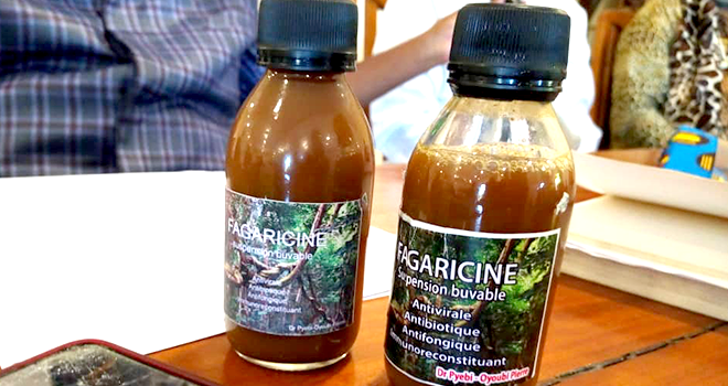 Des médecins et tradipraticiens gabonais proposent la Fagaricine pour éradiquer le Covid-19