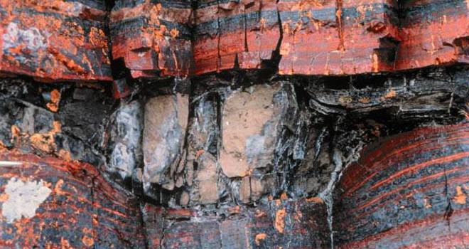 Ferrex s’active sur le fer du Gabon