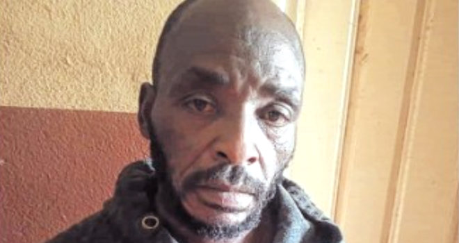 Mitzic&nbsp;: Un gabonais tue son compagnon de chasse et accuse... une attaque d’éléphant&nbsp;!