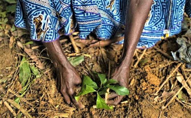 La préservation des écosystèmes au cœur du Jour de la Terre 2021