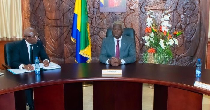 SNBG bradée à GSEZ, FGIS poussé à la faillite&nbsp;: les conclusions d’une enquête de députés gabonais