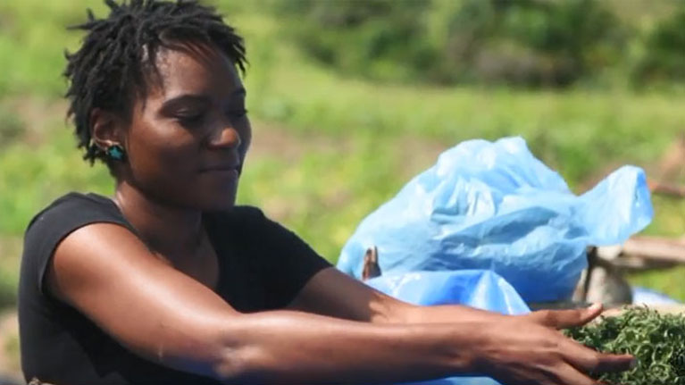 RDC&nbsp;: Des jeunes formés à la création d’entreprise avec l’appui de l’OIT