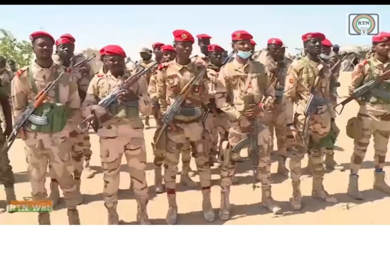 Niger&nbsp;: Six otages libérés par l’armée après une attaque de Boko Haram dans le sud-est 